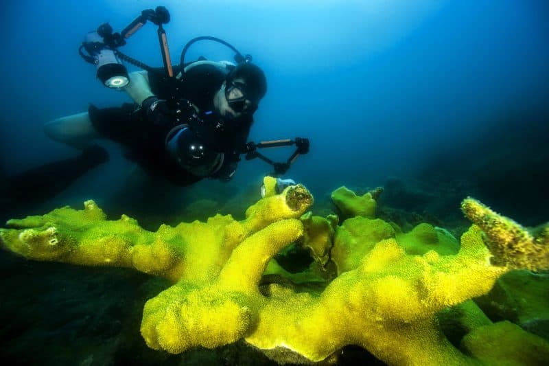 Los corales so otras de las Bellezas naturales de Cuba. Fuente: Pxhere