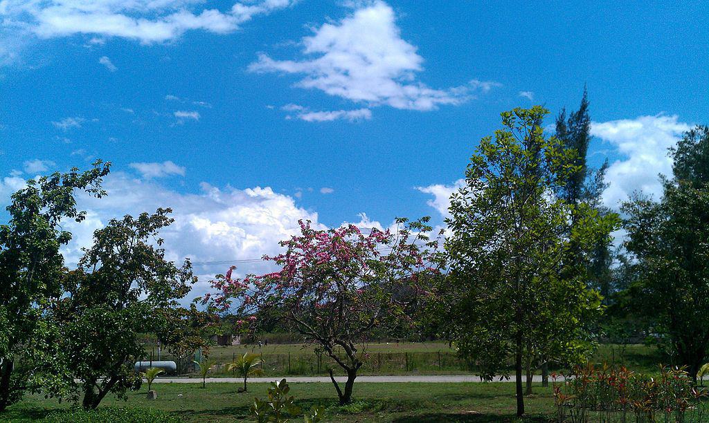 La Belleza de un día soleado en Villa Clara