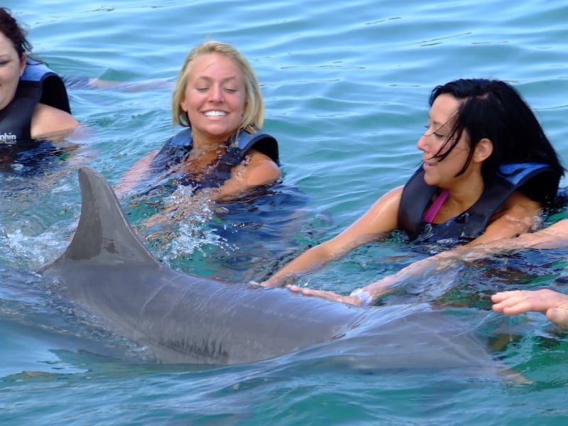 Nadar con los delfines es toda una experiencia