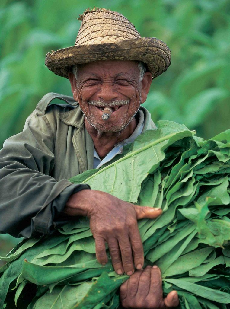 Pinar del Rio, tabaco