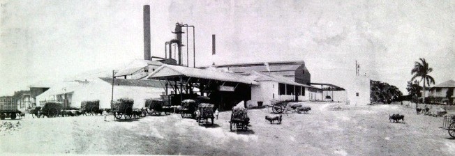 El central Santa Lutgarda en 1913