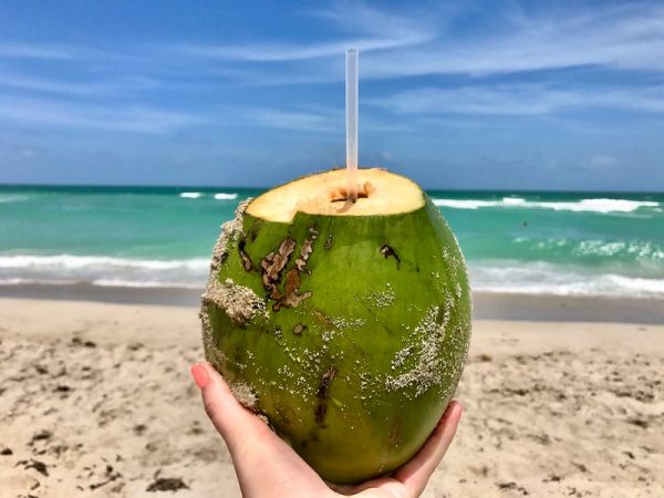 Agua de coco en la Playa