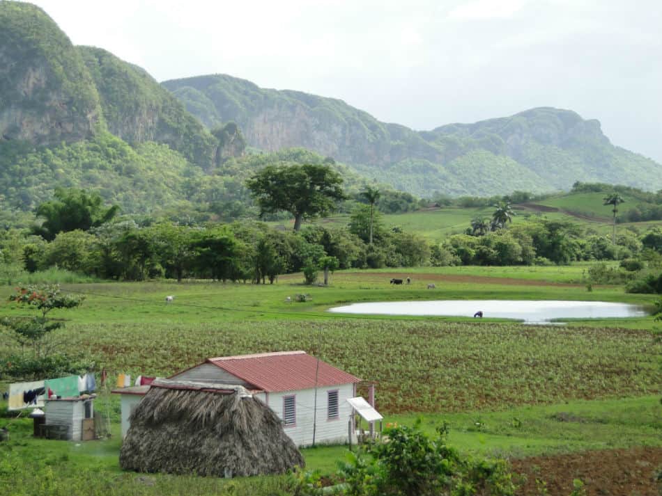 Los acuáticos una historia de milagros en Viñales Todo Cuba