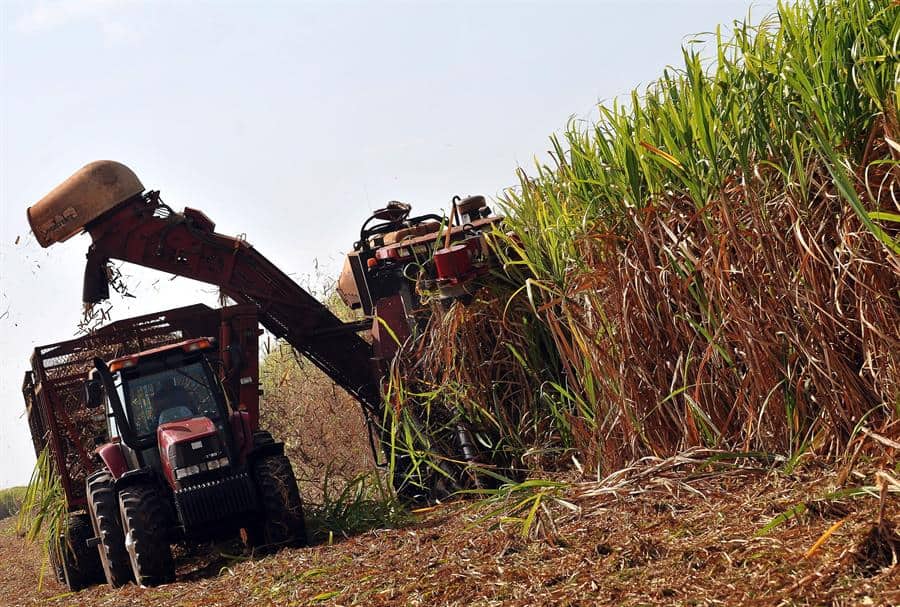 Prosigue la cosecha azucarera en Cuba pese a dificultades