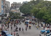 ÚLTIMA HORA: Cae árbol en un parada de La Habana