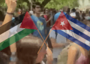 Detrás de las protestas en campus a favor de Hamas, se revelan conexiones con la ideología y el apoyo de Cuba.